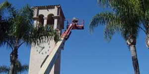 Bee Removal Riverside CA Difficult bee removal using a 
      manlift.