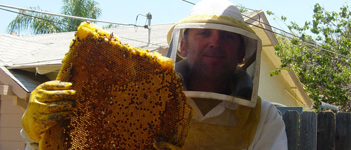 Riverside Bee Removal Guys Tech Michael